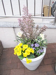 寄せ植え花