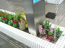 季節毎にその時期の植物に植替え