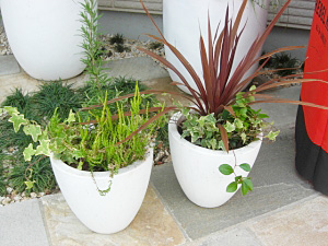 【 植替え後 】