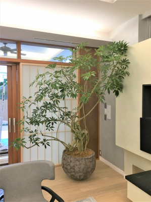 新規モデルハウス