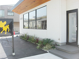 美容室の植栽レンタル