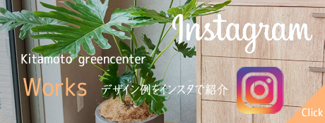 お店、オフィス空間を演出する植物のレンタル