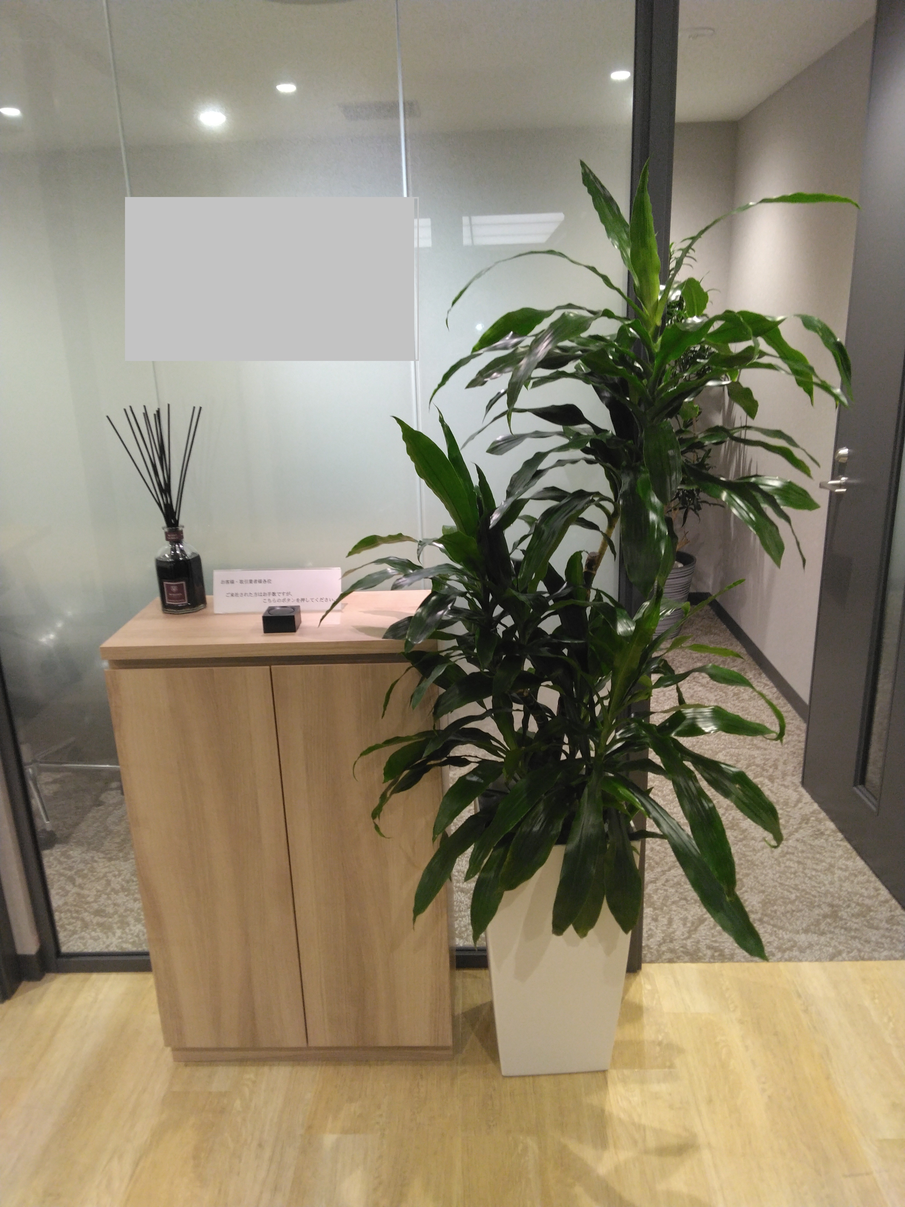 オフィスに観葉植物レンタル
